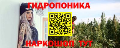 ешки Сланцы